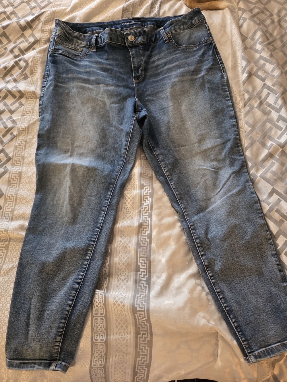 Maurices Women's Skinny Jeans in Washed Blue